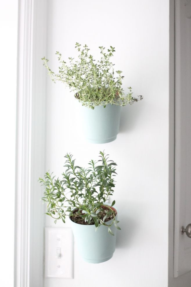 Best ideas about Indoor Herb Garden Planters
. Save or Pin Hanging Herb Planters Indoor Herb Garden Now.