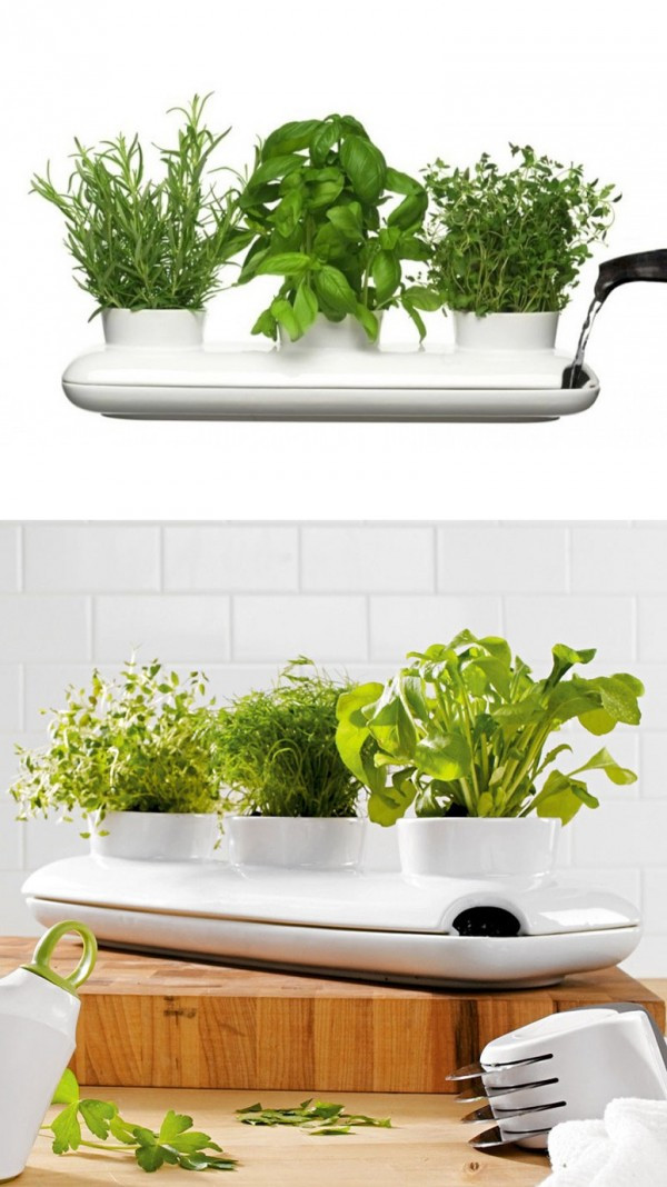 Best ideas about Indoor Herb Garden Planters
. Save or Pin 50 Unique Pots & Planters You Can Buy Right Now Now.