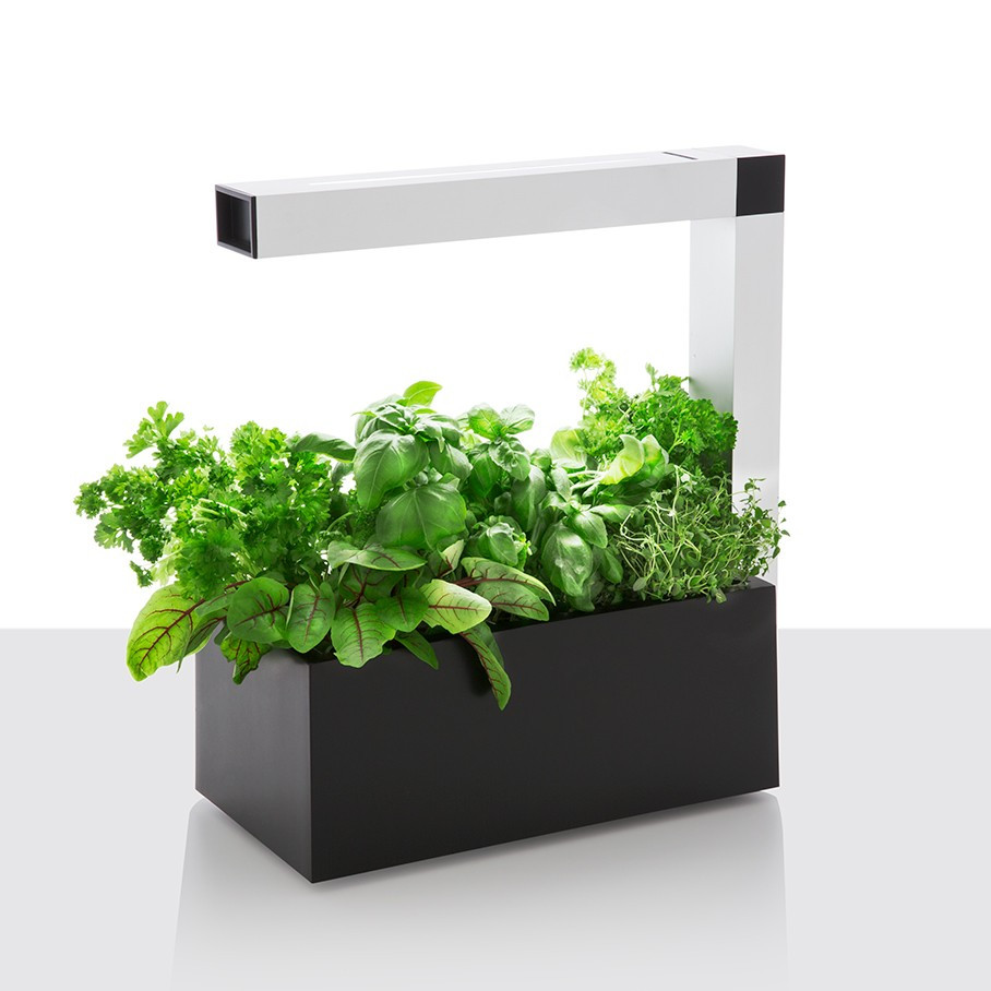 Best ideas about Indoor Herb Garden Planters
. Save or Pin Herbie Indoor Herb Garden Planter Black UK Now.