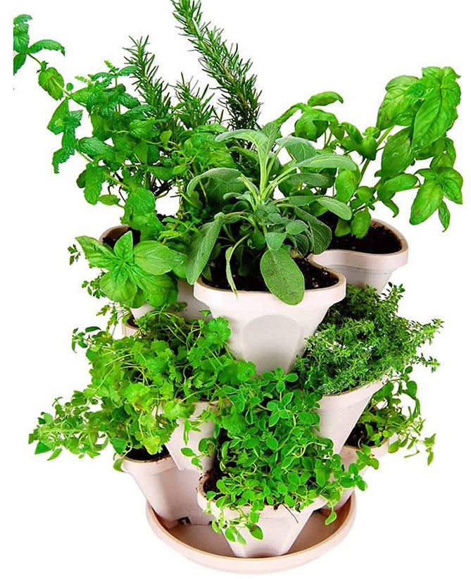 Best ideas about Indoor Herb Garden Planters
. Save or Pin 9 Best Indoor Ve able Growers and Herb Planters For 2018 Now.