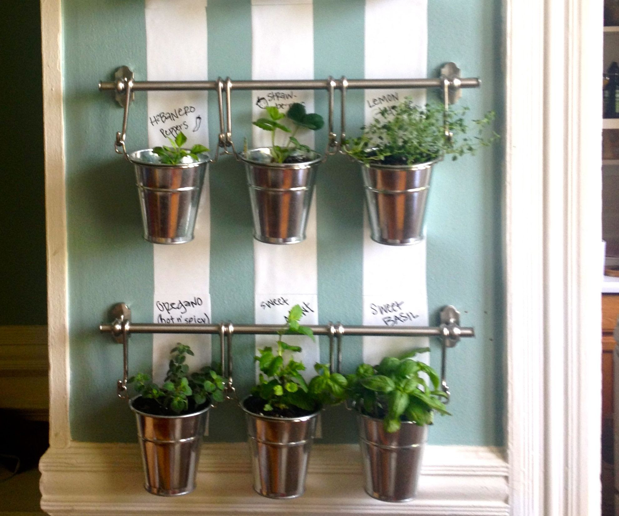 Best ideas about Indoor Herb Garden Planters
. Save or Pin Hanging Indoor Herb Garden Now.