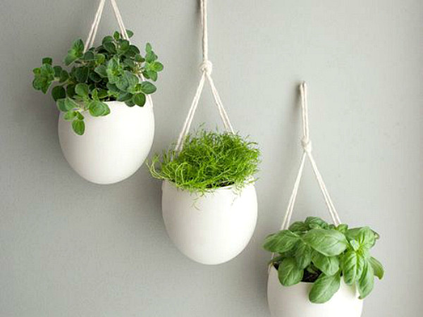 Best ideas about Indoor Herb Garden Planters
. Save or Pin Indoor Herb Garden Ideas Creative Juice Now.