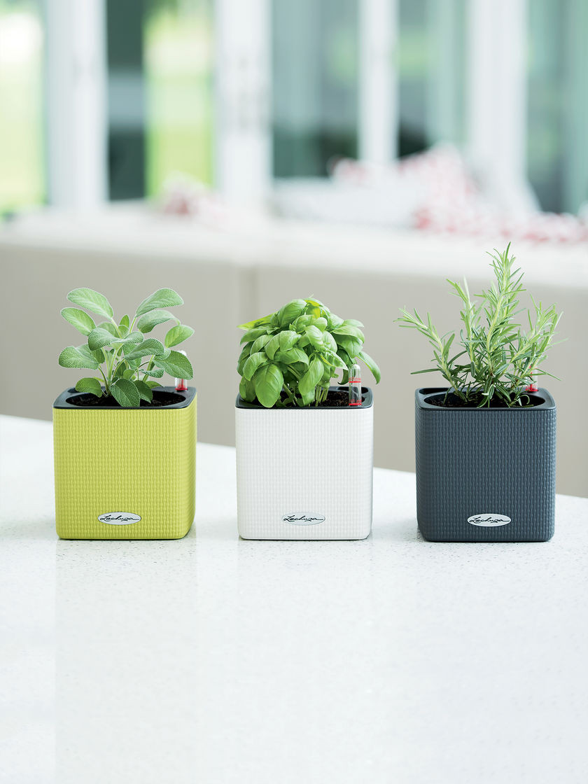 Best ideas about Indoor Herb Planter
. Save or Pin Herb Planter Mini Cube Self Watering Herb Planter Now.