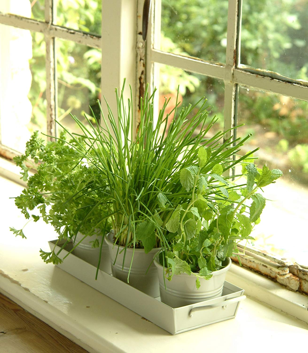 Best ideas about Indoor Herb Planter
. Save or Pin Kitchen Herb Pots Wooden Planter Window Sill Garden Plant Now.