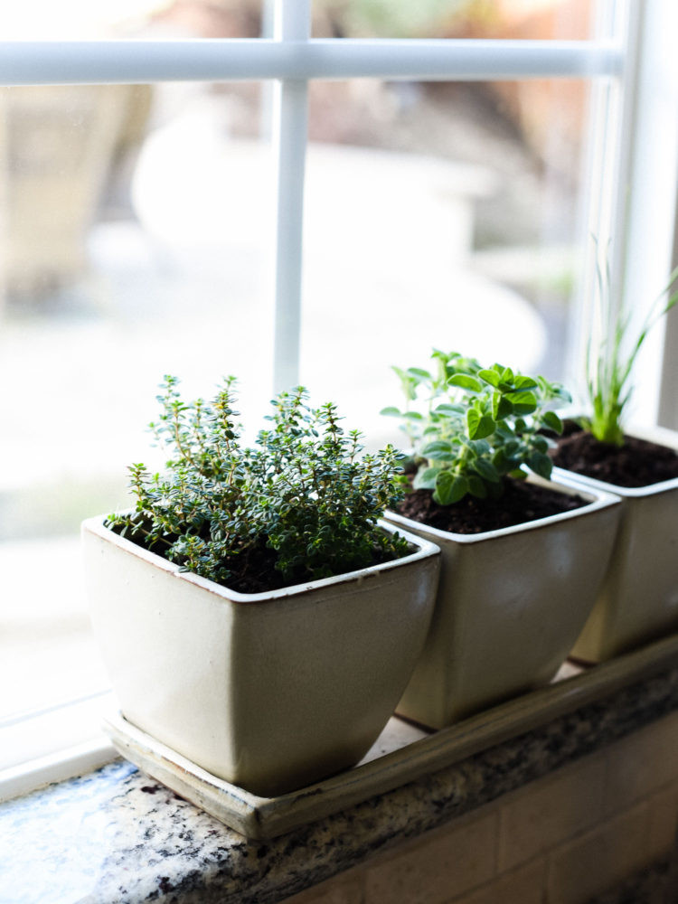 Best ideas about Indoor Herb Planter
. Save or Pin How to Start an Indoor Herb Garden Now.