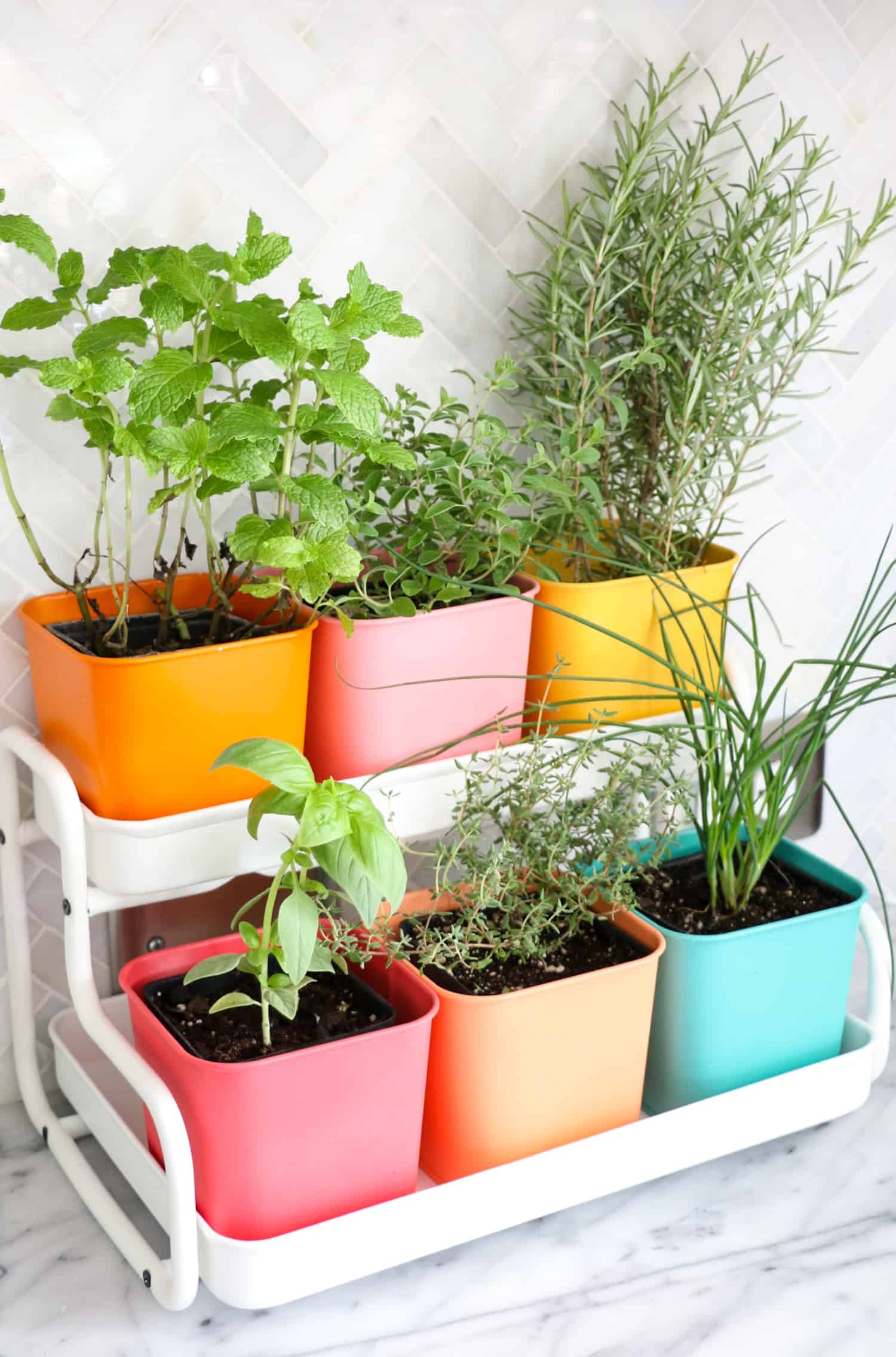 Best ideas about Indoor Herb Planter
. Save or Pin Make a Colorful Indoor Herb Garden A Beautiful Mess Now.