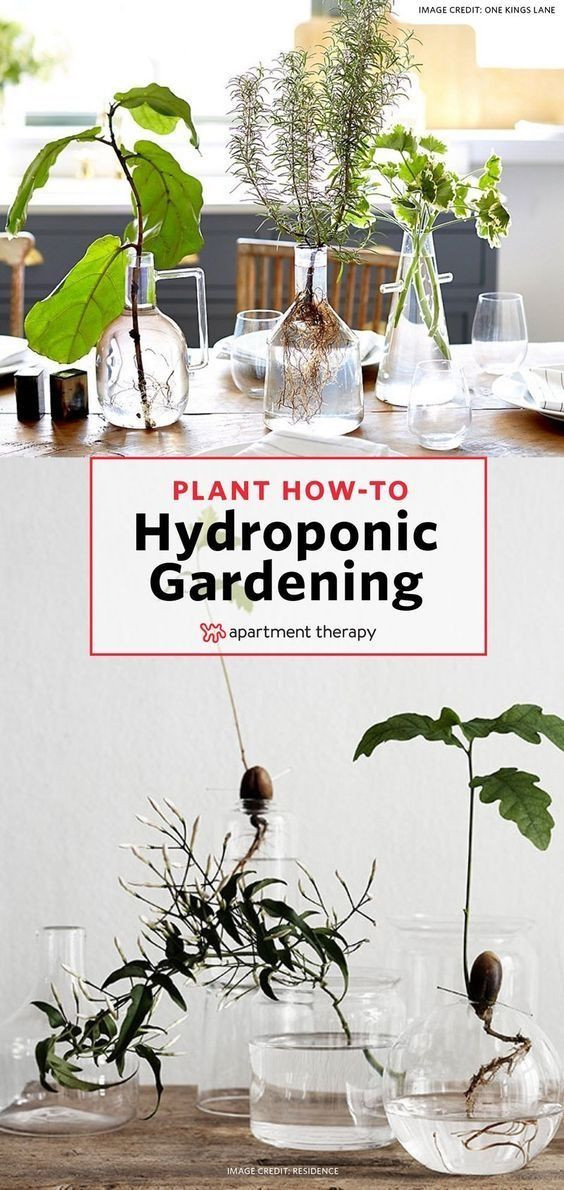 Best ideas about Indoor Hydroponic Garden DIY
. Save or Pin The No Soil Zero Maintenance Method for Growing Now.