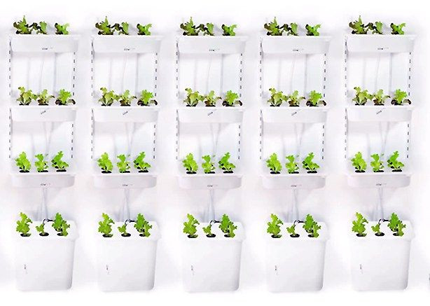 Best ideas about Indoor Hydroponic Garden DIY
. Save or Pin Hey apartment and small space dwellers here’s an easy DIY Now.