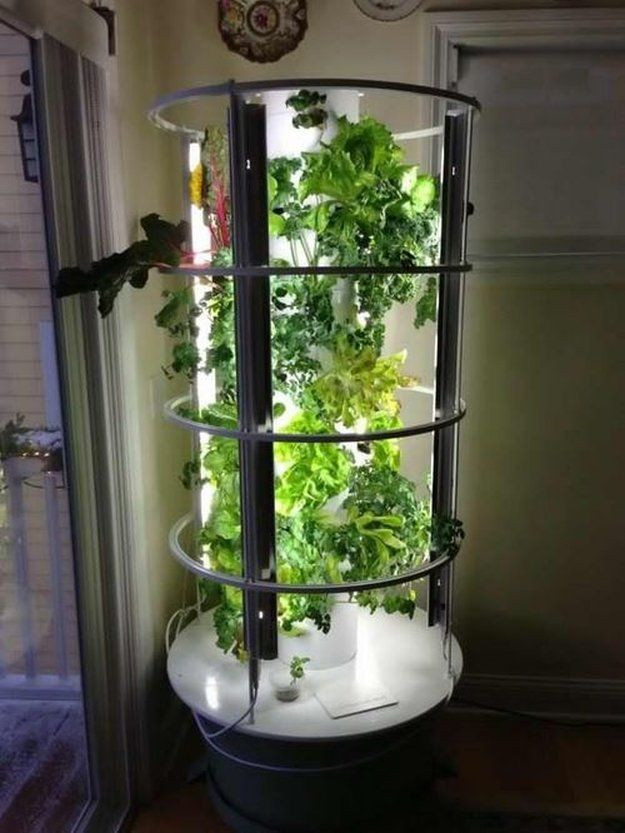 Best ideas about Indoor Hydroponic Garden DIY
. Save or Pin 27 Tower Garden Ideas For Vertical Gardening Now.