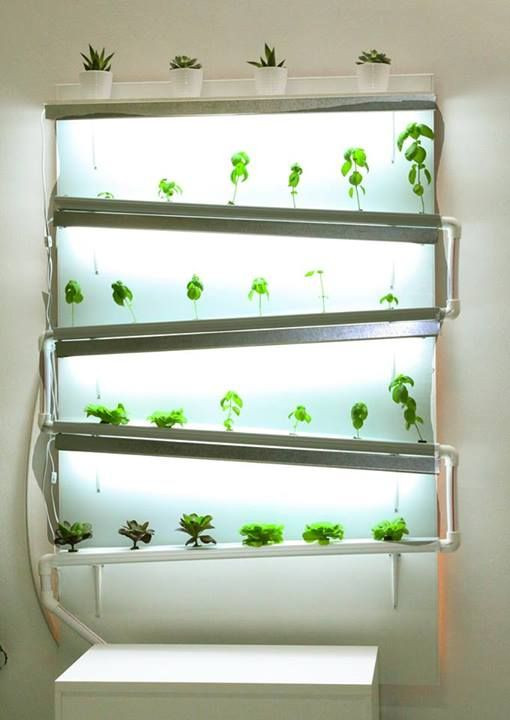 Best ideas about Indoor Hydroponic Garden DIY
. Save or Pin Best 20 Indoor hydroponics ideas on Pinterest Now.