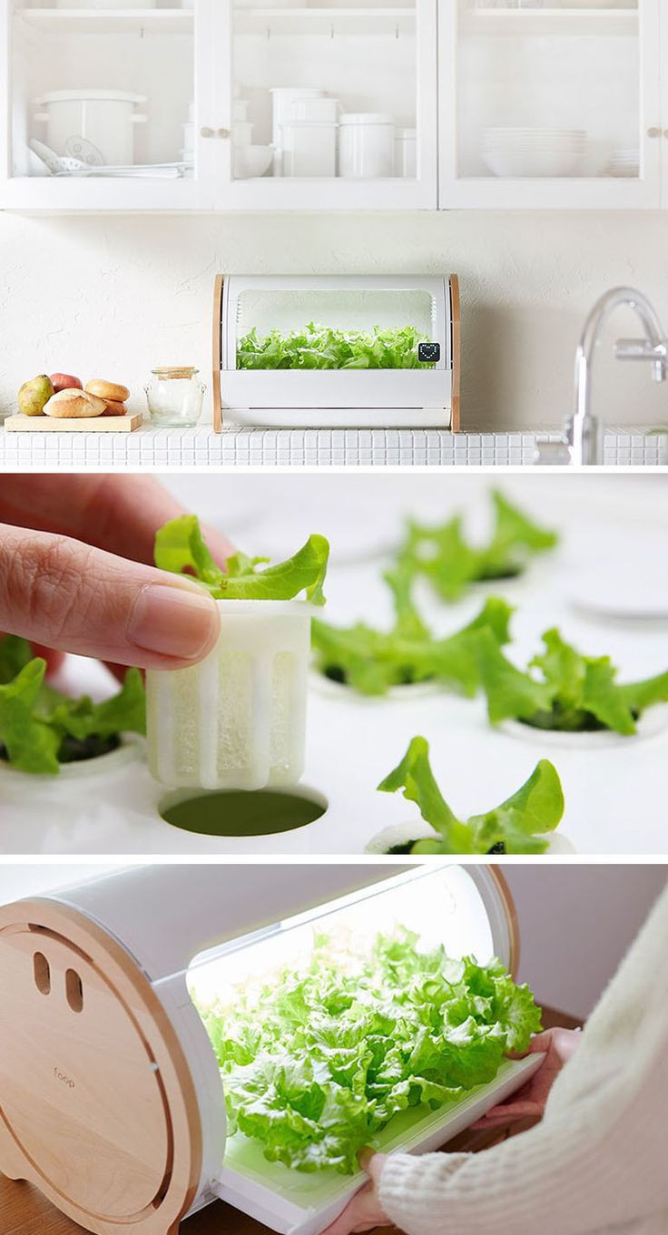 Best ideas about Indoor Hydroponic Garden DIY
. Save or Pin Best 25 Hydroponics ideas on Pinterest Now.