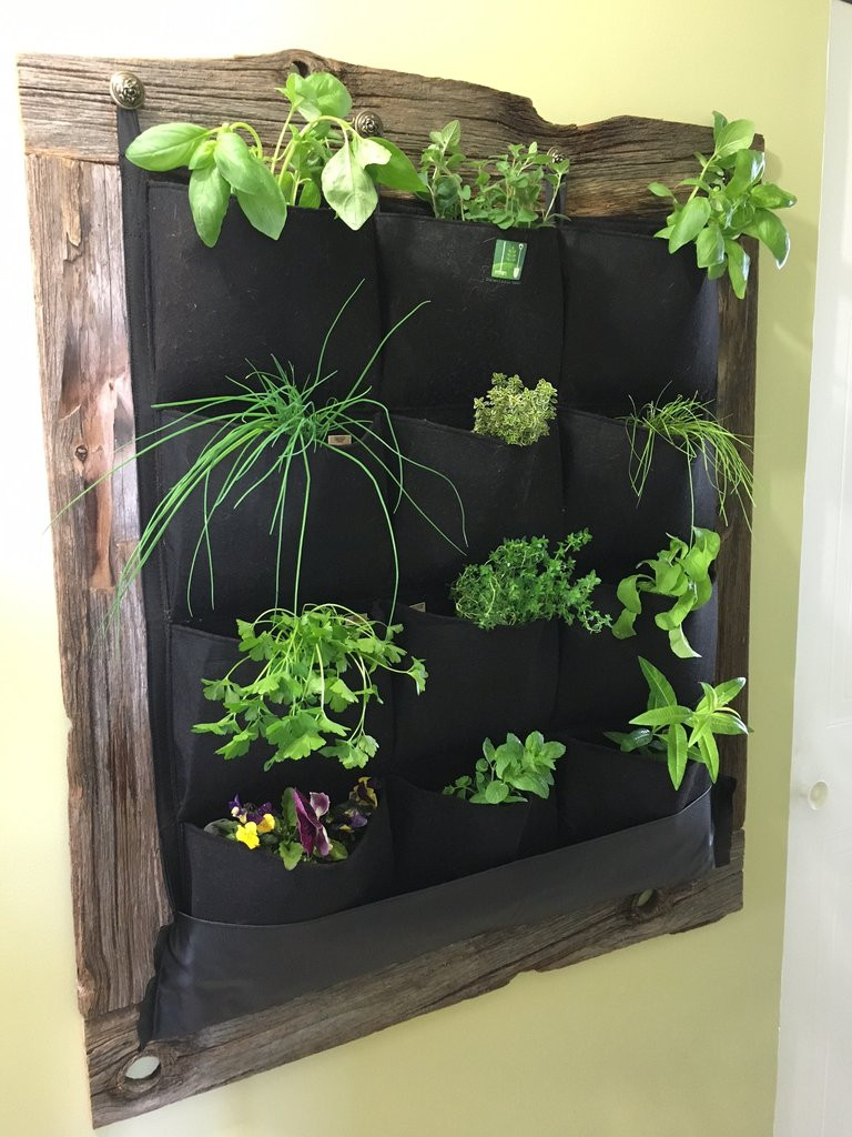 Best ideas about Indoor Living Wall Planter
. Save or Pin 12 Pocket Indoor Waterproof Vertical Living Wall Planter Now.