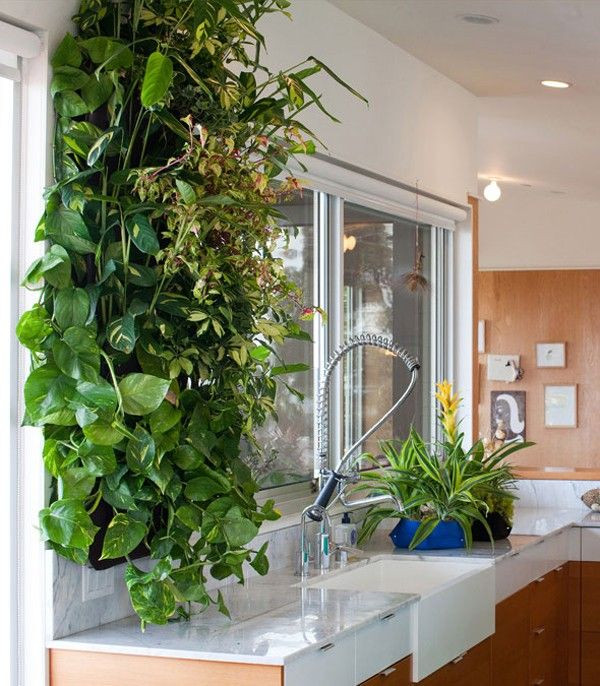 Best ideas about Indoor Living Wall Planter
. Save or Pin SCOUTED Living Wall Planters Indoor plants Now.