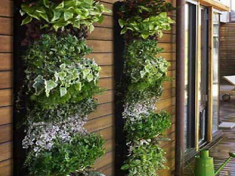 Best ideas about Indoor Living Wall Planter
. Save or Pin Gardening & Landscaping Indoor Living Wall Planters Now.