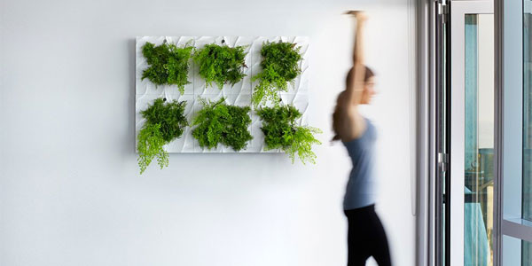 Best ideas about Indoor Living Wall Planter
. Save or Pin Indoor Living Wall Planter = Easy Vertical Gardening Now.