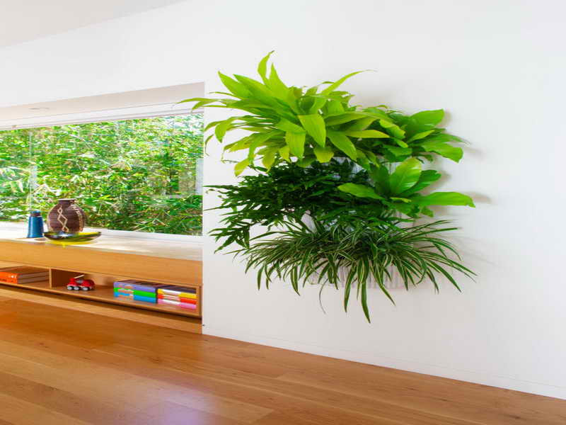 Best ideas about Indoor Living Wall Planter
. Save or Pin Gardening & Landscaping Indoor Living Wall Planters Now.