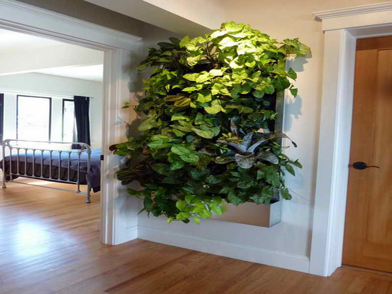 Best ideas about Indoor Living Wall Planter
. Save or Pin Gardening & Landscaping Indoor Living Wall Planters Now.