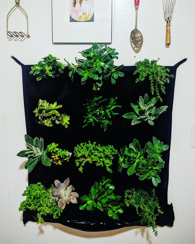 Best ideas about Indoor Living Wall Planter
. Save or Pin 12 Pocket Indoor Waterproof Vertical Living Wall Planter Now.