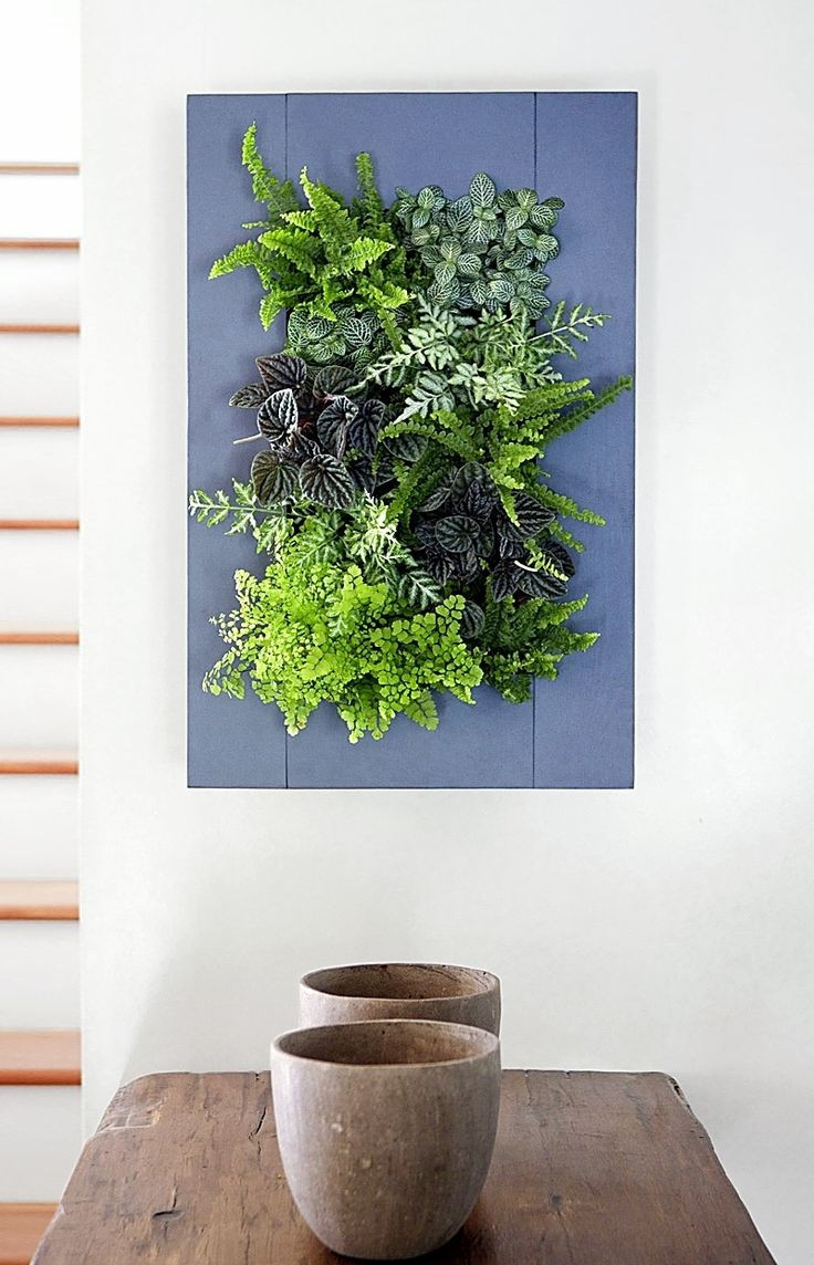 Best ideas about Indoor Living Wall Planter
. Save or Pin Best 25 Living wall planter ideas on Pinterest Now.