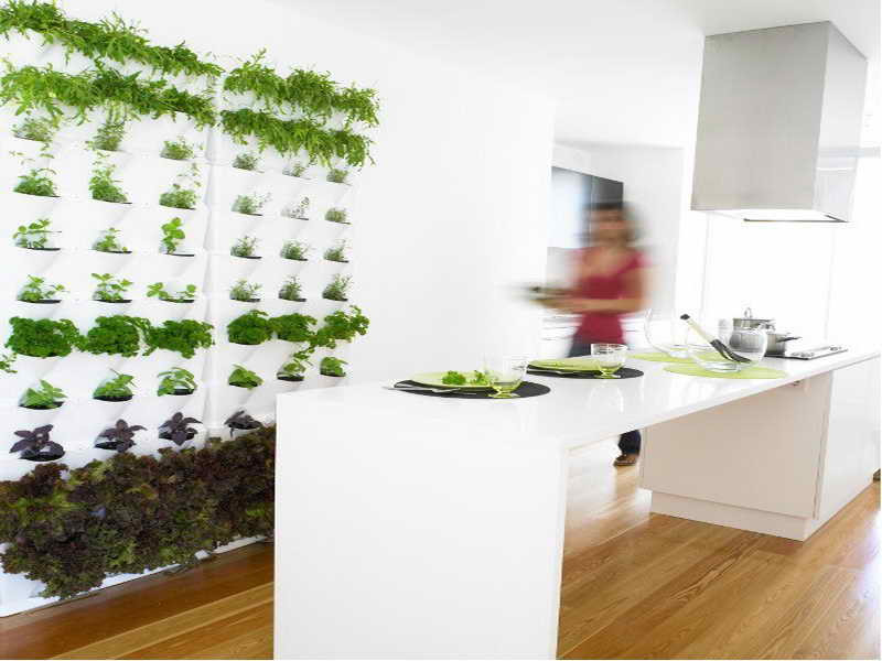 Best ideas about Indoor Living Wall Planter
. Save or Pin Gardening & Landscaping Indoor Living Wall Planters Now.