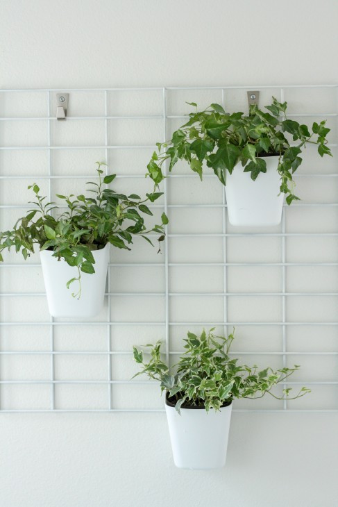 Best ideas about Indoor Living Wall Planter
. Save or Pin 23 Cool DIY Wall Planter Ideas For Vertical Gardens – The Now.