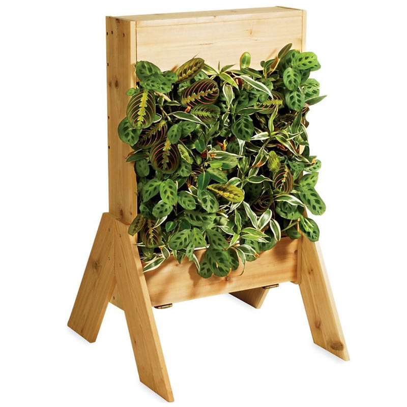 Best ideas about Indoor Living Wall Planter
. Save or Pin Indoor Living Wall Planters The Green Head Now.