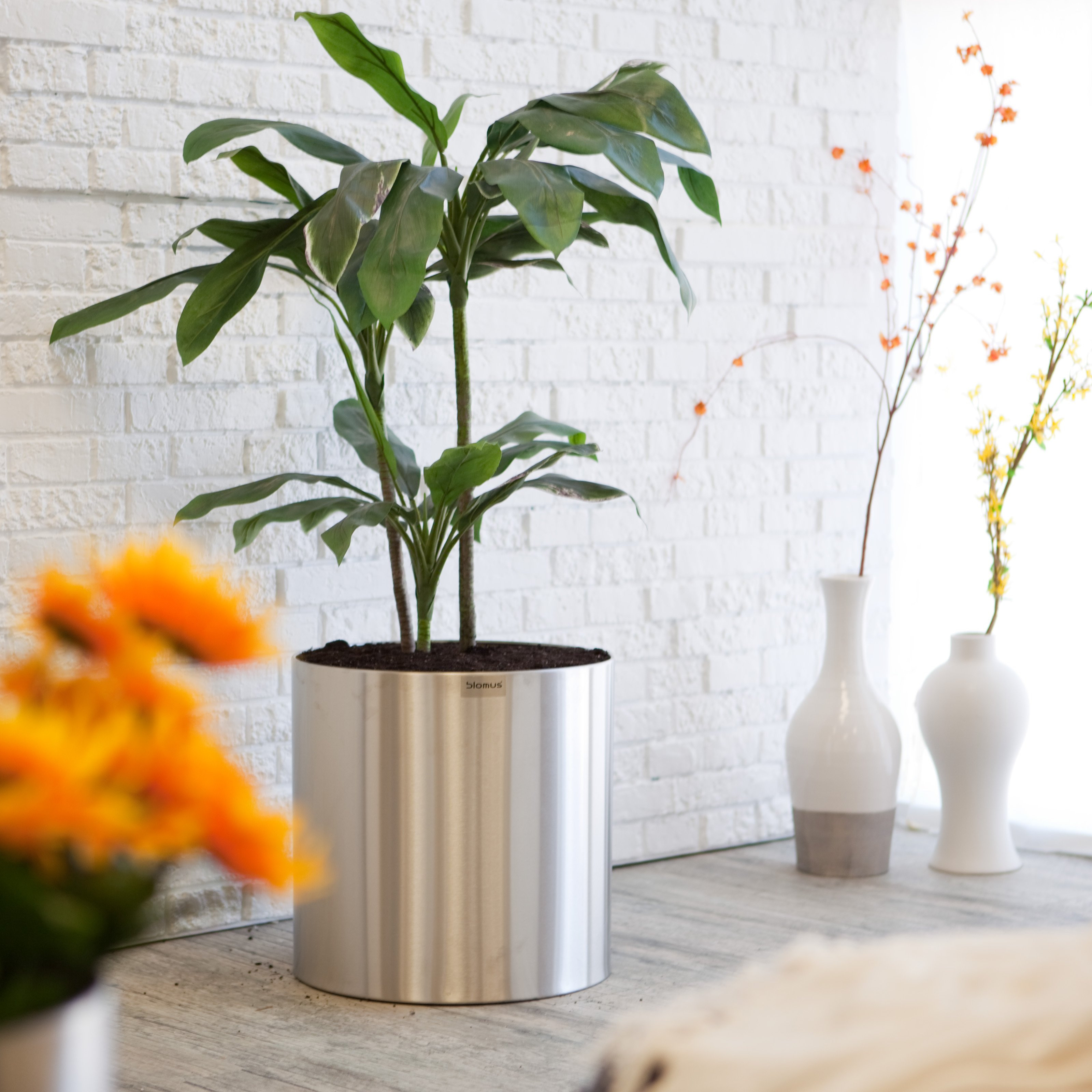 Best ideas about Indoor Planter Pots
. Save or Pin Round Stainless Steel Blumentopf Planter Planters Now.