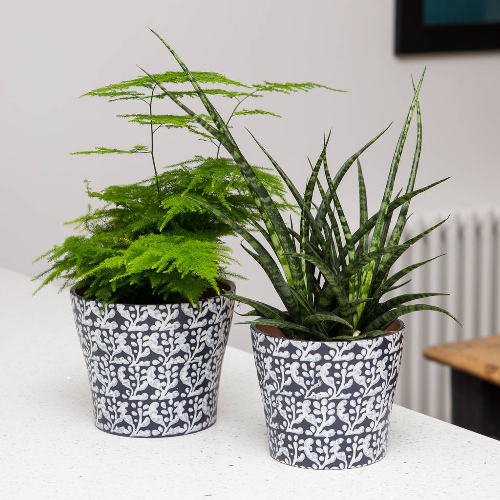 Best ideas about Indoor Planter Pots
. Save or Pin inky blue printed indoor planter by stupid egg interiors Now.