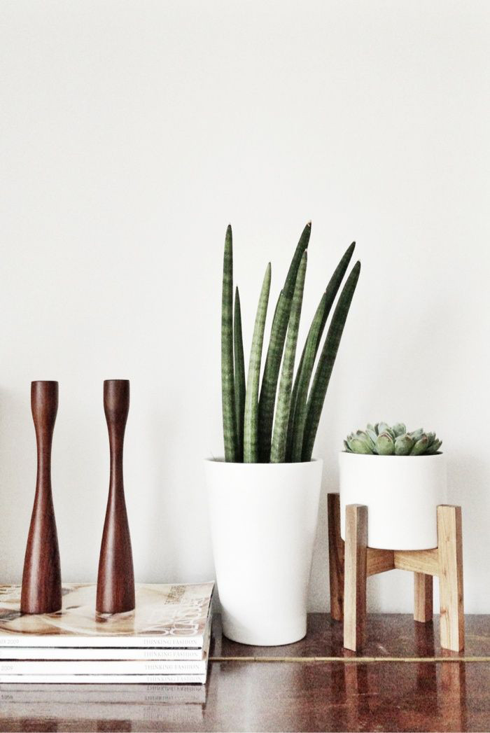 Best ideas about Indoor Planter Pots
. Save or Pin Mid Century Indoor Planters – Honestly WTF Now.