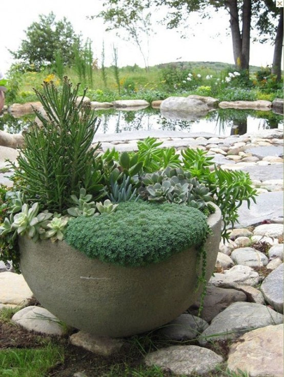 Best ideas about Indoor Succulent Garden Ideas
. Save or Pin 70 Indoor And Outdoor Succulent Garden Ideas Shelterness Now.