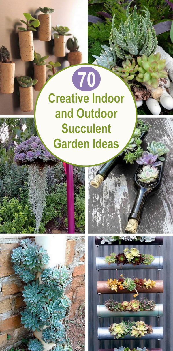Best ideas about Indoor Succulent Garden Ideas
. Save or Pin Creative Indoor And Outdoor Succulent Garden Ideas 2017 Now.