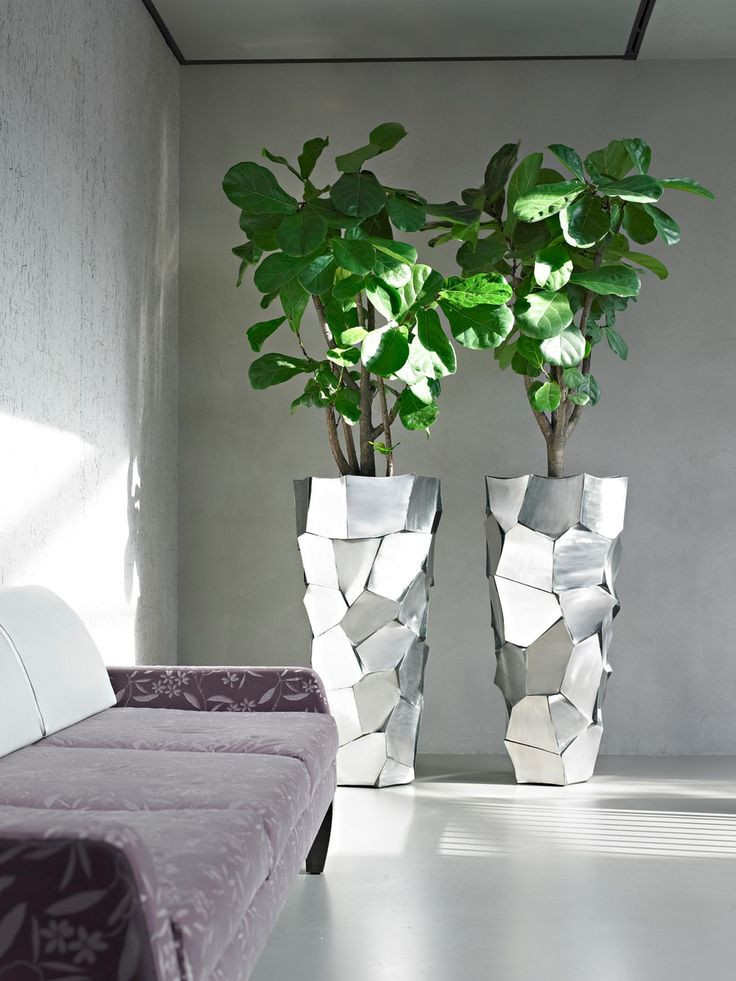 Best ideas about Indoor Tree Planter
. Save or Pin Capri vase large 绿植 in 2019 Now.