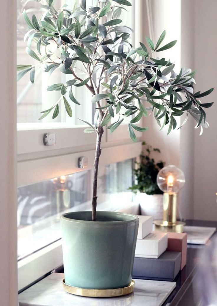 Best ideas about Indoor Tree Planter
. Save or Pin 25 best ideas about Indoor plant stands on Pinterest Now.