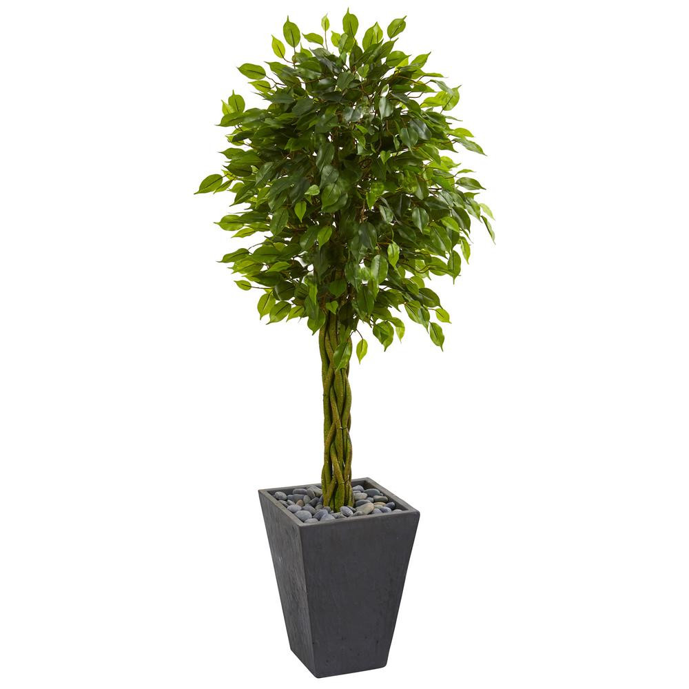 Best ideas about Indoor Tree Planter
. Save or Pin Nearly Natural 5 ft High Indoor Outdoor Braided Ficus Now.