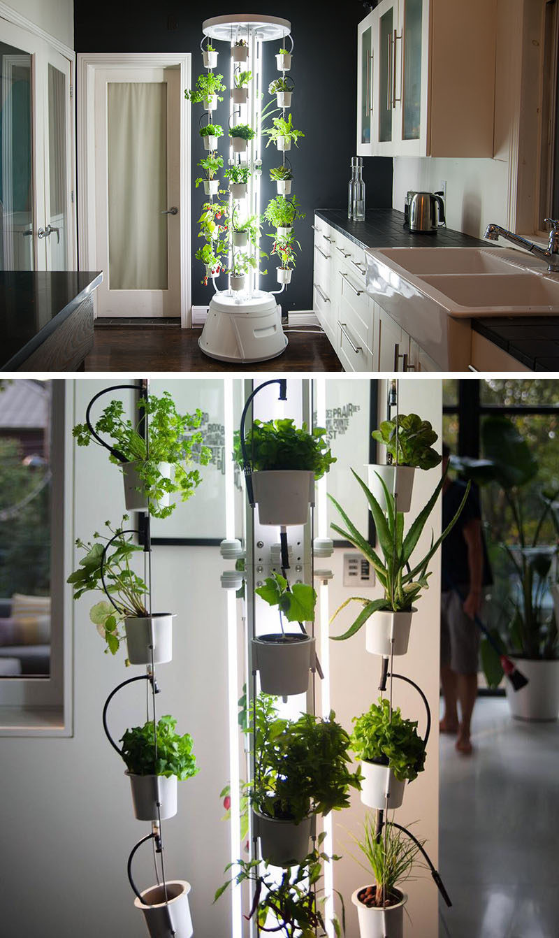 Best ideas about Indoor Vegetable Garden Ideas
. Save or Pin Indoor Kitchen Garden Ideas Sitting room Herb Wall Small Now.
