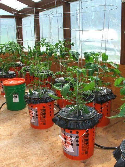 Best ideas about Indoor Vegetable Garden Ideas
. Save or Pin 1000 ideas about Indoor Ve able Gardening on Pinterest Now.