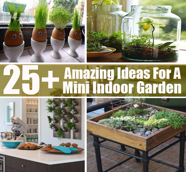 Best ideas about Indoor Vegetable Garden Ideas
. Save or Pin 25 Amazing Ideas For A Mini Indoor Garden Now.