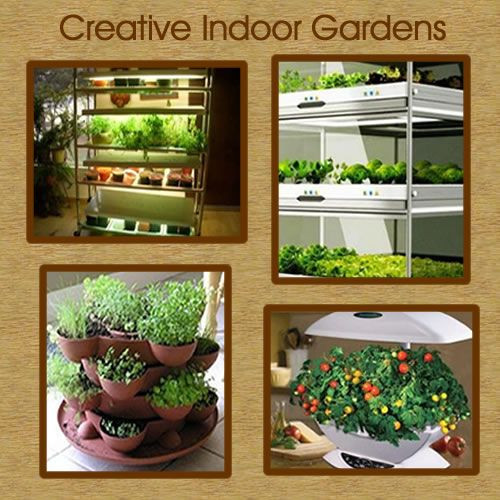 Best ideas about Indoor Vegetable Garden Ideas
. Save or Pin 17 Best ideas about Indoor Ve able Gardening on Now.