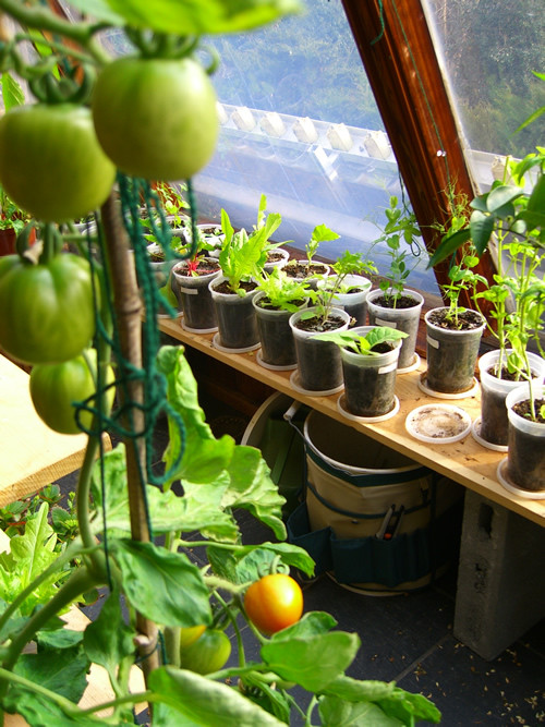 Best ideas about Indoor Vegetable Garden Ideas
. Save or Pin 3 Ways How to Start Indoor Ve able Garden for Beginners Now.