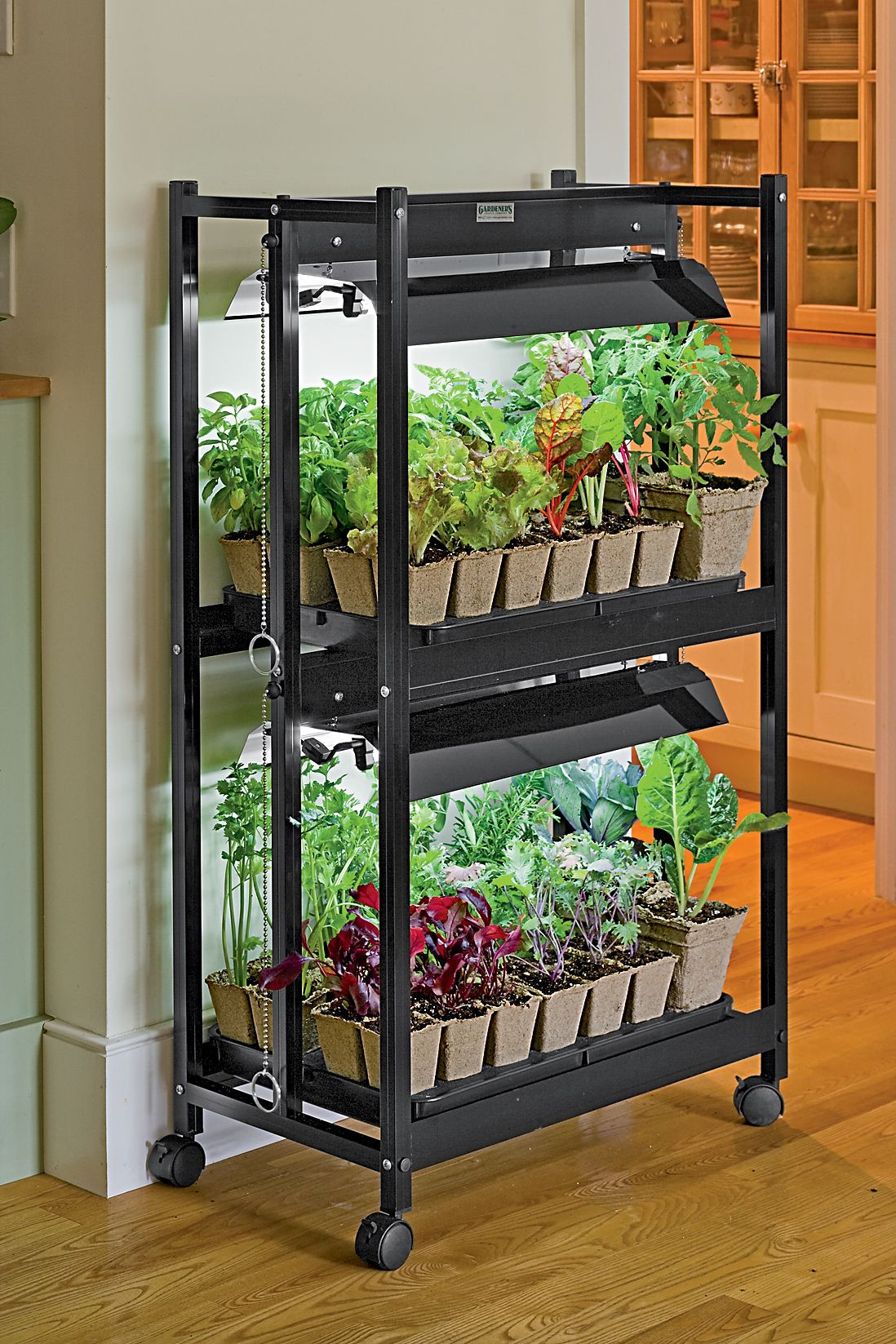 Best ideas about Indoor Vegetable Garden Ideas
. Save or Pin Indoor Ve able Gardening on Pinterest Now.