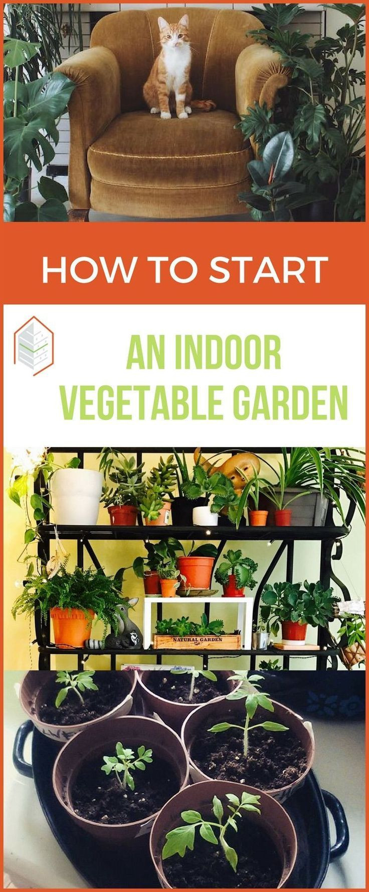 Best ideas about Indoor Vegetable Garden Ideas
. Save or Pin Best 25 Indoor ve able gardening ideas on Pinterest Now.