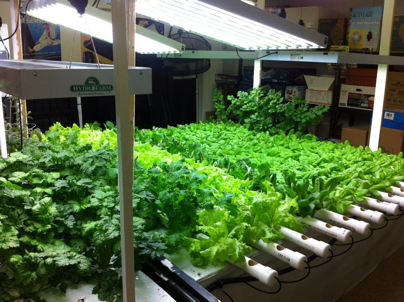 Best ideas about Indoor Vegetable Garden Ideas
. Save or Pin Indoor Winter Gardening Tips Quiet Corner Now.