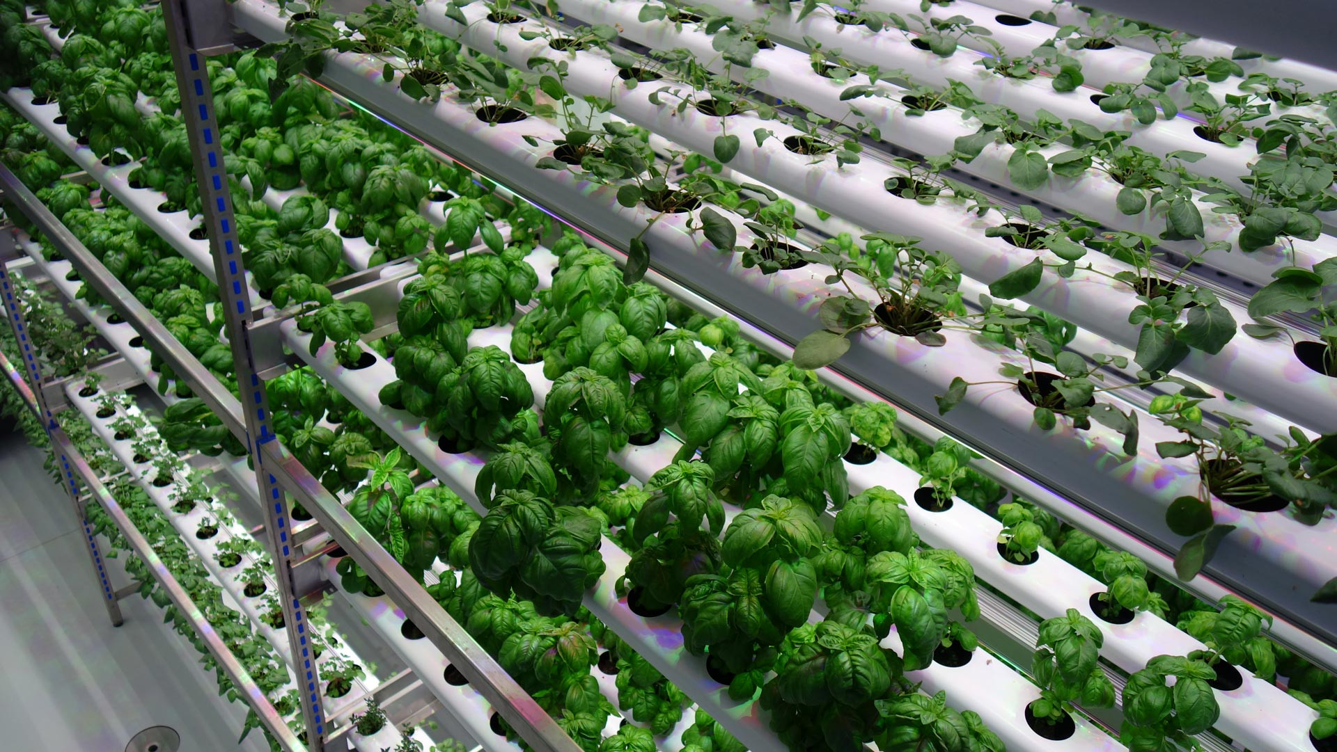 Best ideas about Indoor Vertical Farming
. Save or Pin Indoor Vertical Farming Aralab Now.