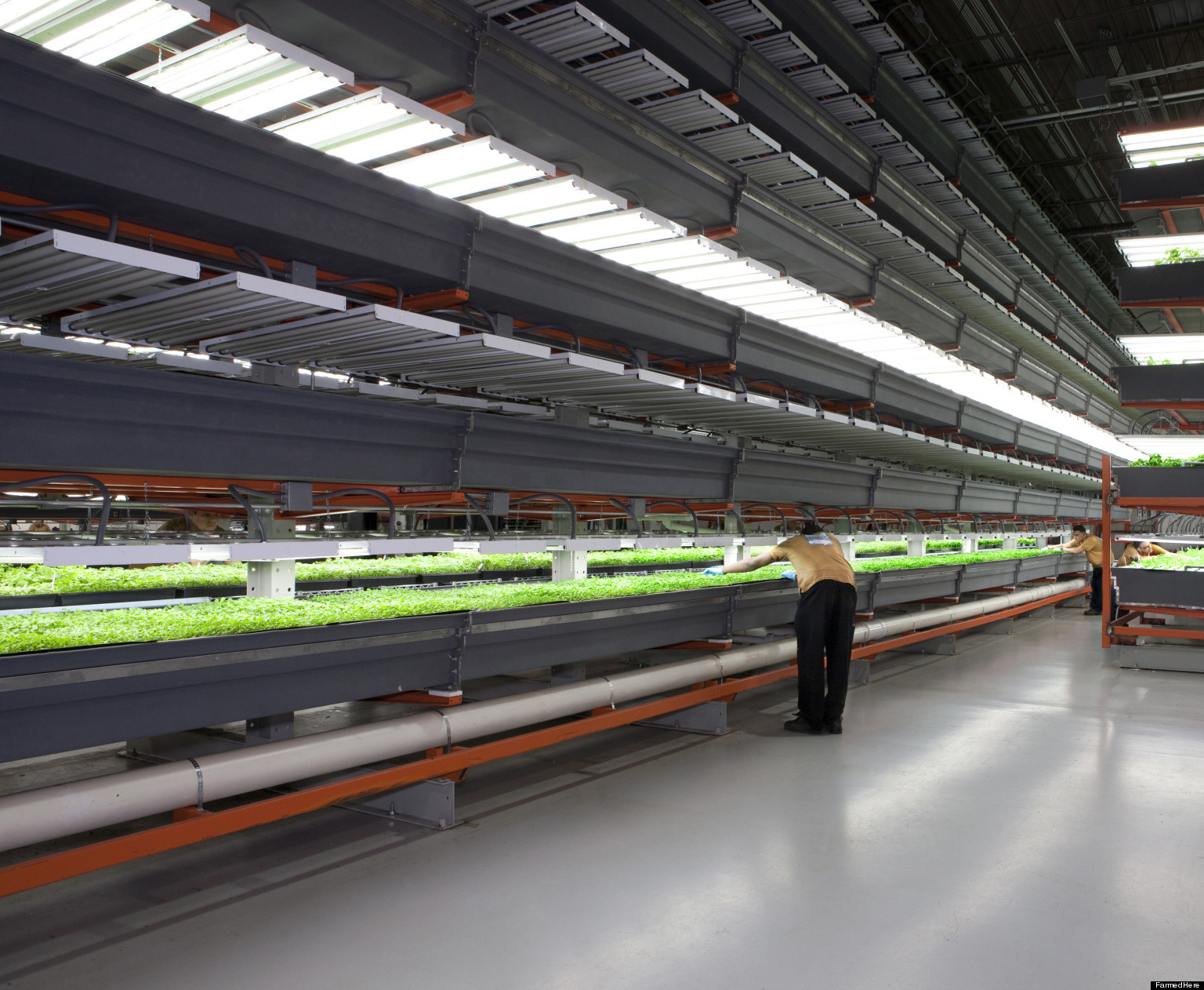 Best ideas about Indoor Vertical Farming
. Save or Pin FarmedHere Nation s st Indoor Vertical Farm Opens Now.