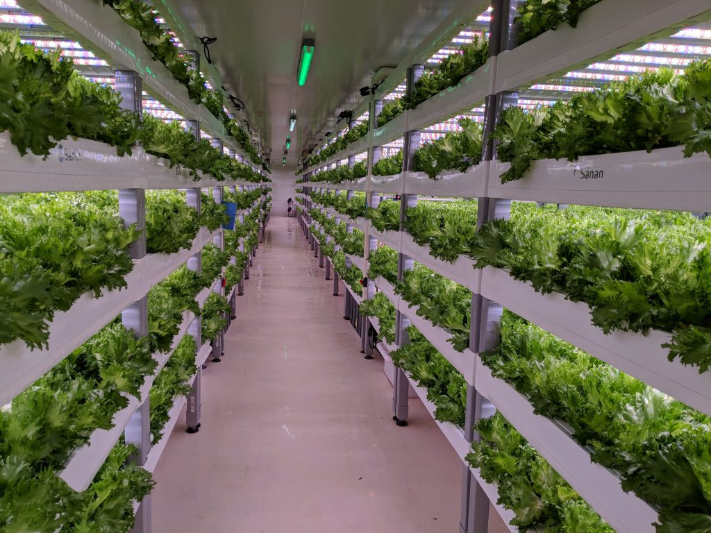 Best ideas about Indoor Vertical Farming
. Save or Pin Indoor vertical farming in Asia and beyond Digging deep Now.