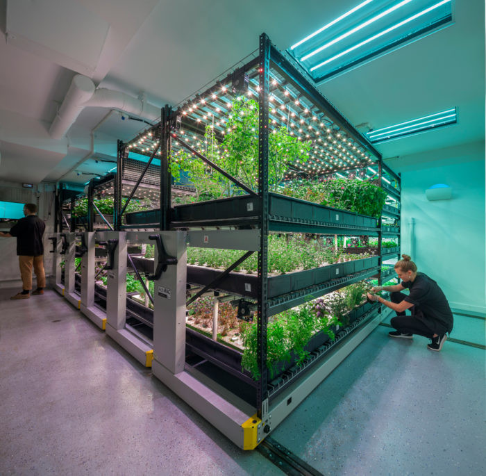 Best ideas about Indoor Vertical Farming
. Save or Pin Can Vertical Farms Reap Their Harvest It’s Anyone’s Bet Now.