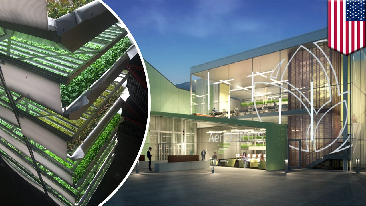 Best ideas about Indoor Vertical Farming
. Save or Pin st indoor vertical farm uses 95 percent less water Now.