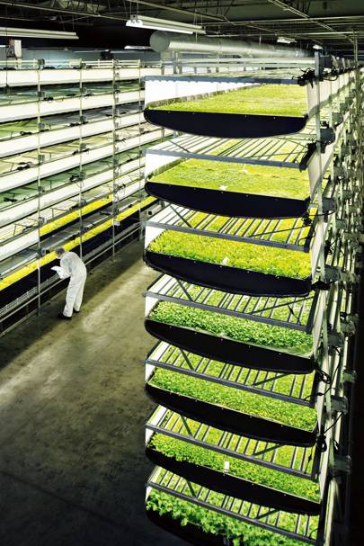Best ideas about Indoor Vertical Farming
. Save or Pin Aerofarm has built the world s largest vertical farm Now.