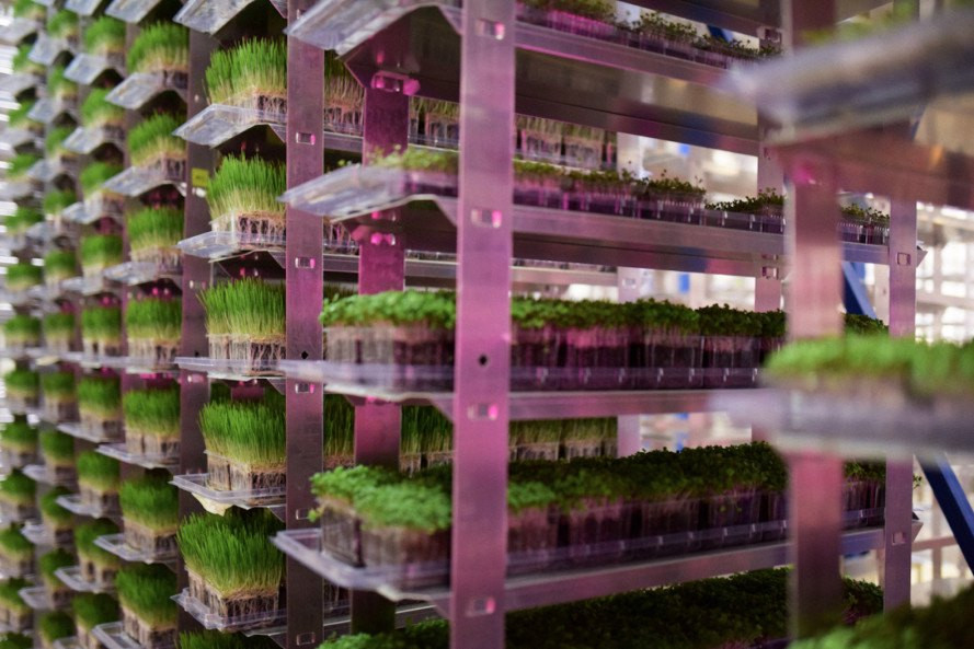 Best ideas about Indoor Vertical Farming
. Save or Pin Urban Produce vertical farm grows 16 acres of food in just Now.