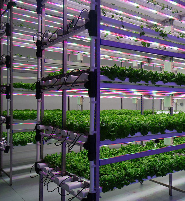 Best ideas about Indoor Vertical Farming
. Save or Pin Indoor Vertical Farming Aralab Now.